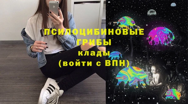 героин Алексин