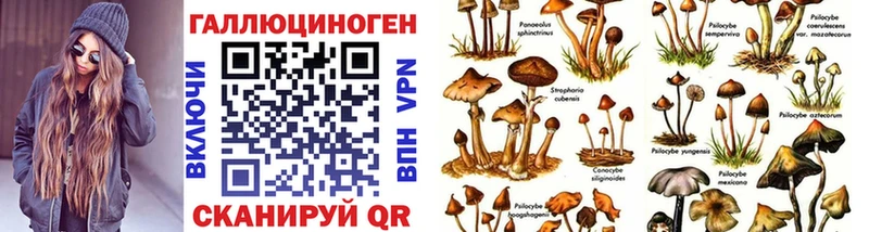 Псилоцибиновые грибы Psilocybe  Змеиногорск 